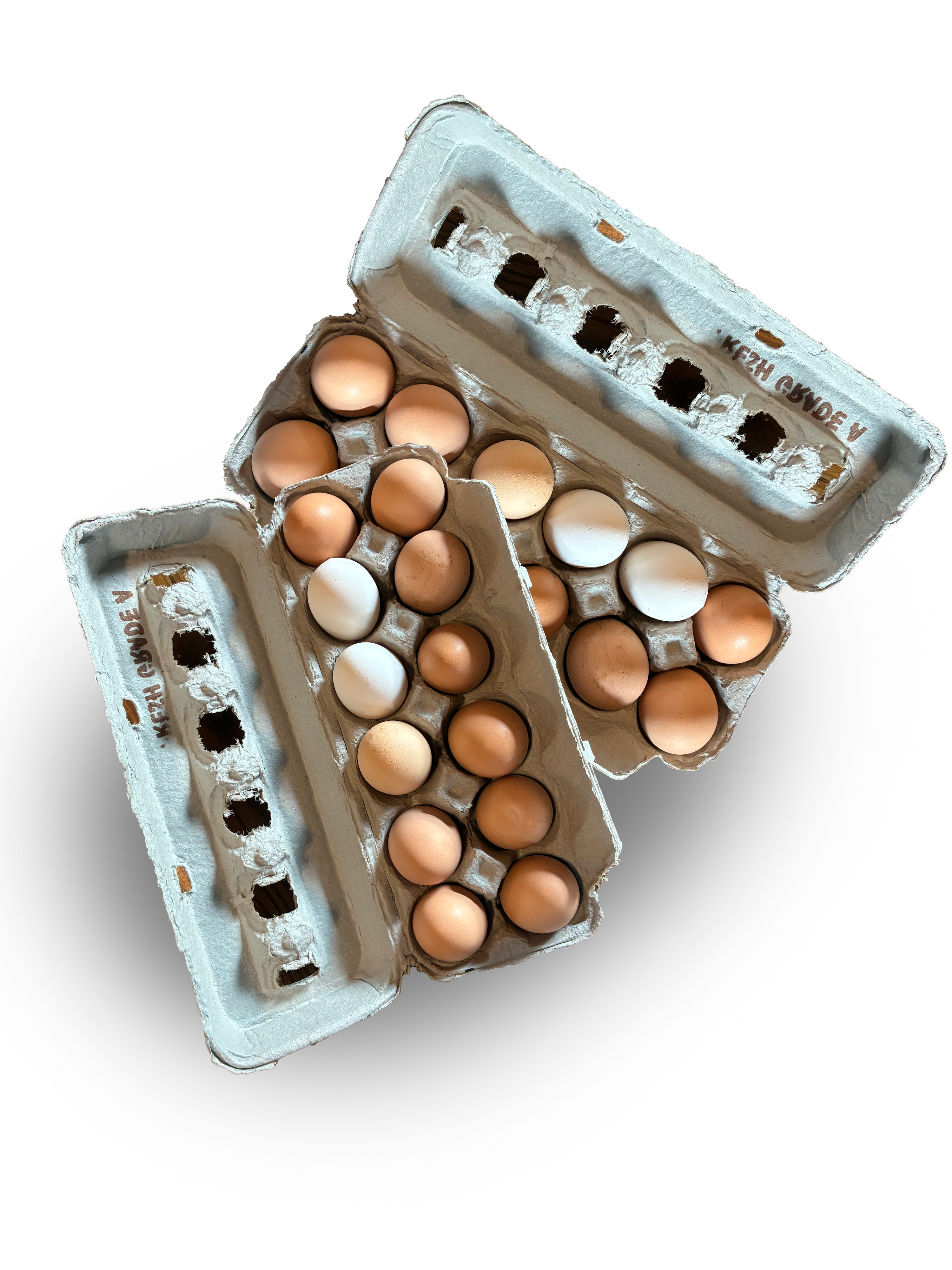 Eggs